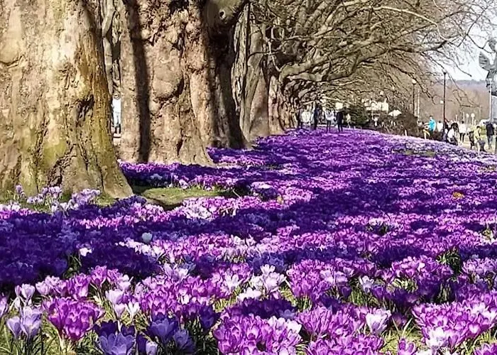 Vakantiehuis House In At The With Parking Space For 4 Persons *