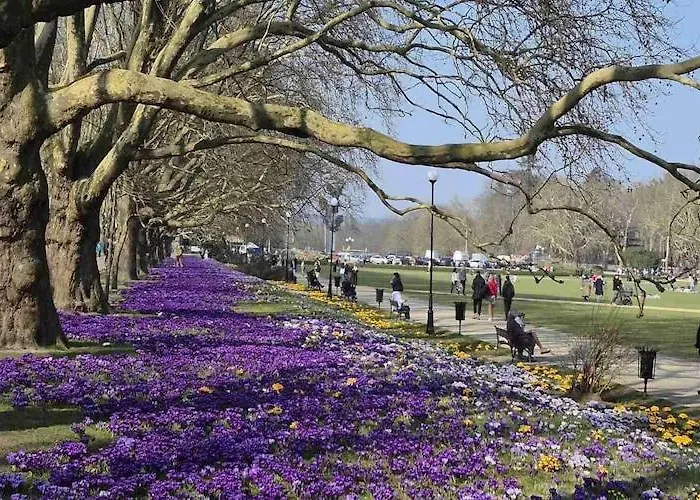 Vakantiehuis House In At The With Parking Space For 4 Persons *